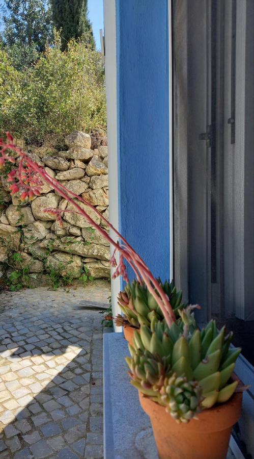 Casinha Do Sul Villa Фаро Екстериор снимка